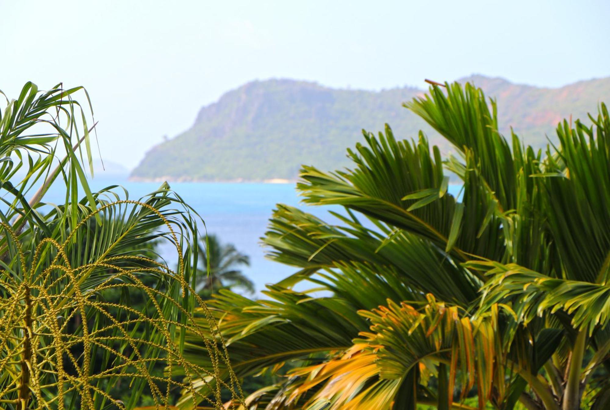 Ocean Blue Bay *