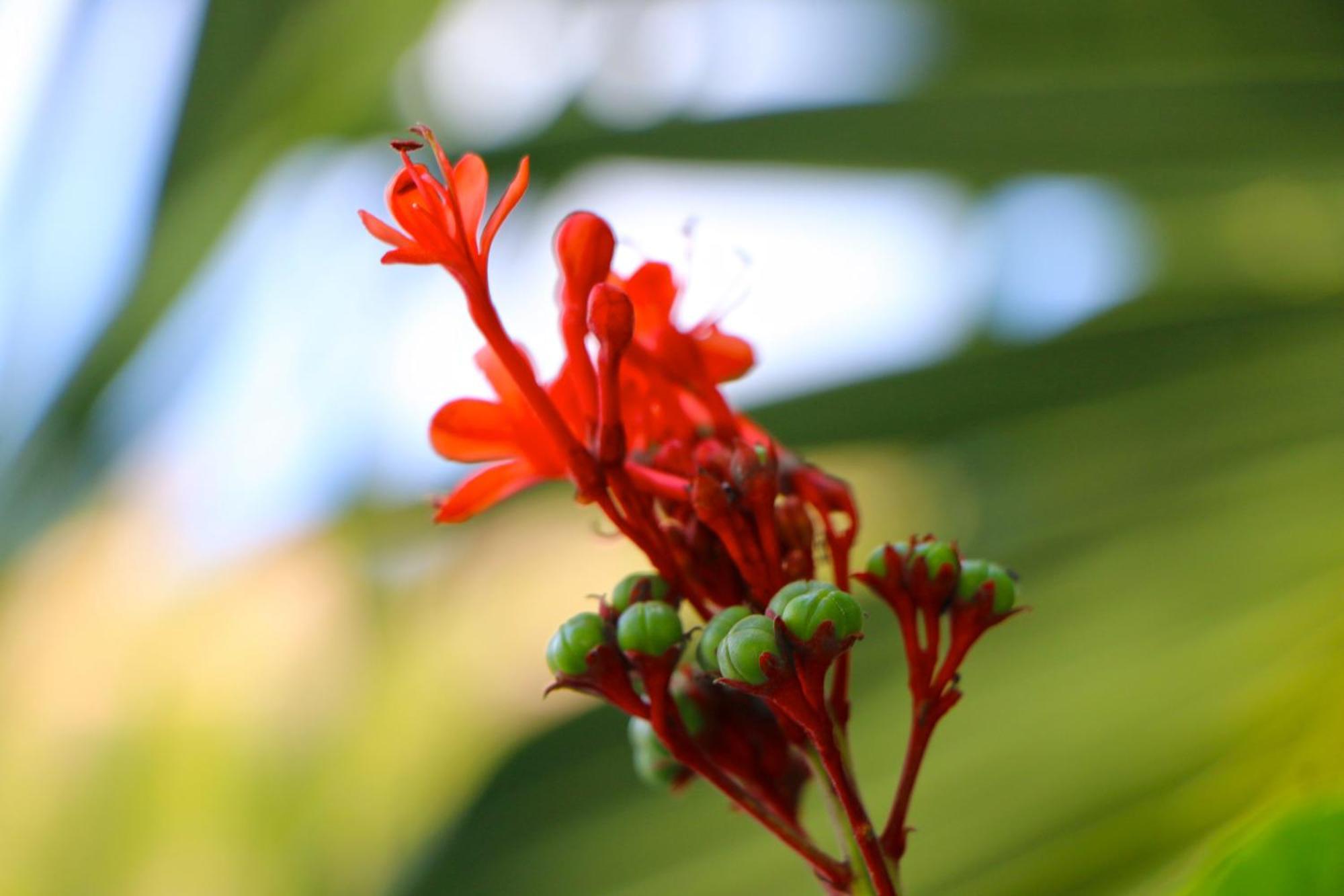 Ocean Blue Bay Apartment Anse Volbert Village (Praslin)